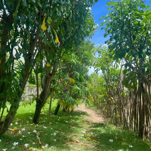Caminho da praia 1.1