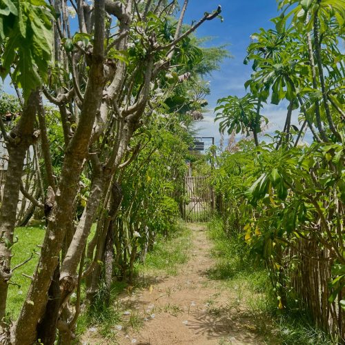 Caminho da praia 1.21