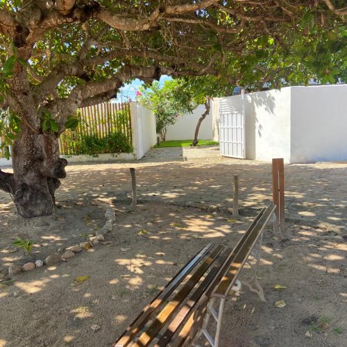 Entrada 1