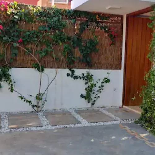 Entrada 1.2