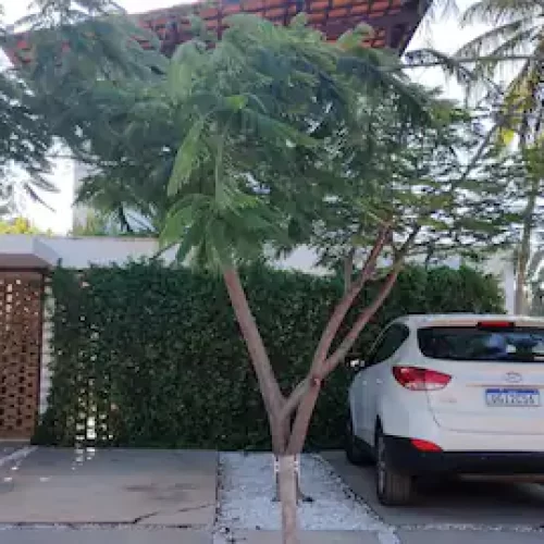 Estacionameno 1.1