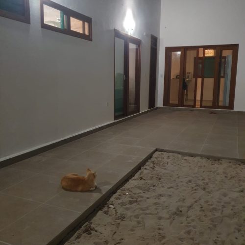 WhatsApp Image 2025-05-13 at 16.59.19 (1)
