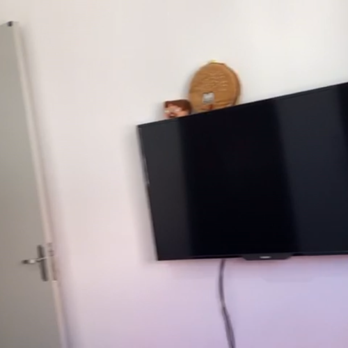 quarto 1.9
